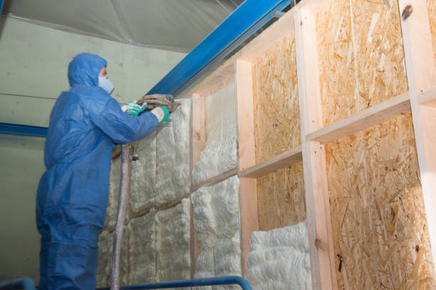 Best Insulation for New Construction  in Pretty Bayou, FL